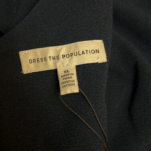 Dress the Population Corey V-Neck Cap Sleeve Lace Hem Dress - Picture 8 of 15